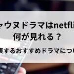 チャウヌドラマはnetflixで何が見れる？出演するおすすめドラマについて